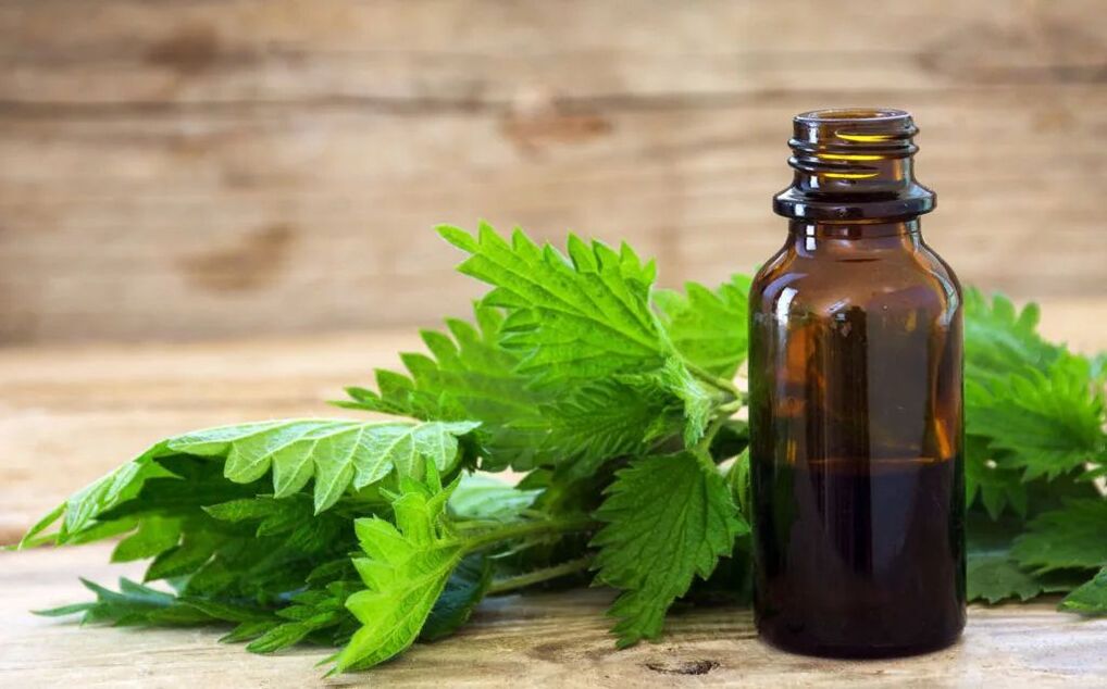 MiCardium conține extract de frunze de urzică